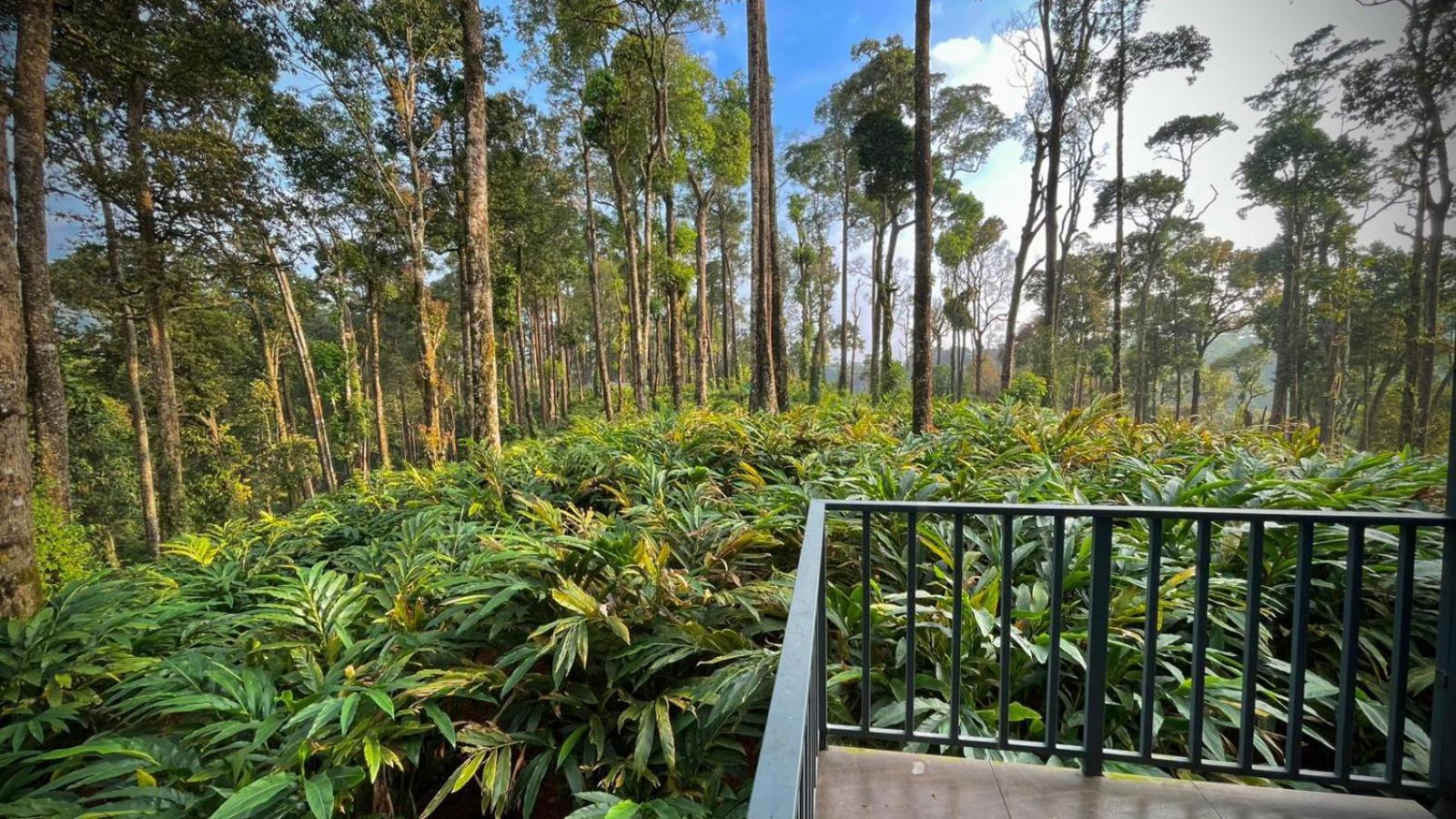 Forestscape Resort Munnar Exterior foto