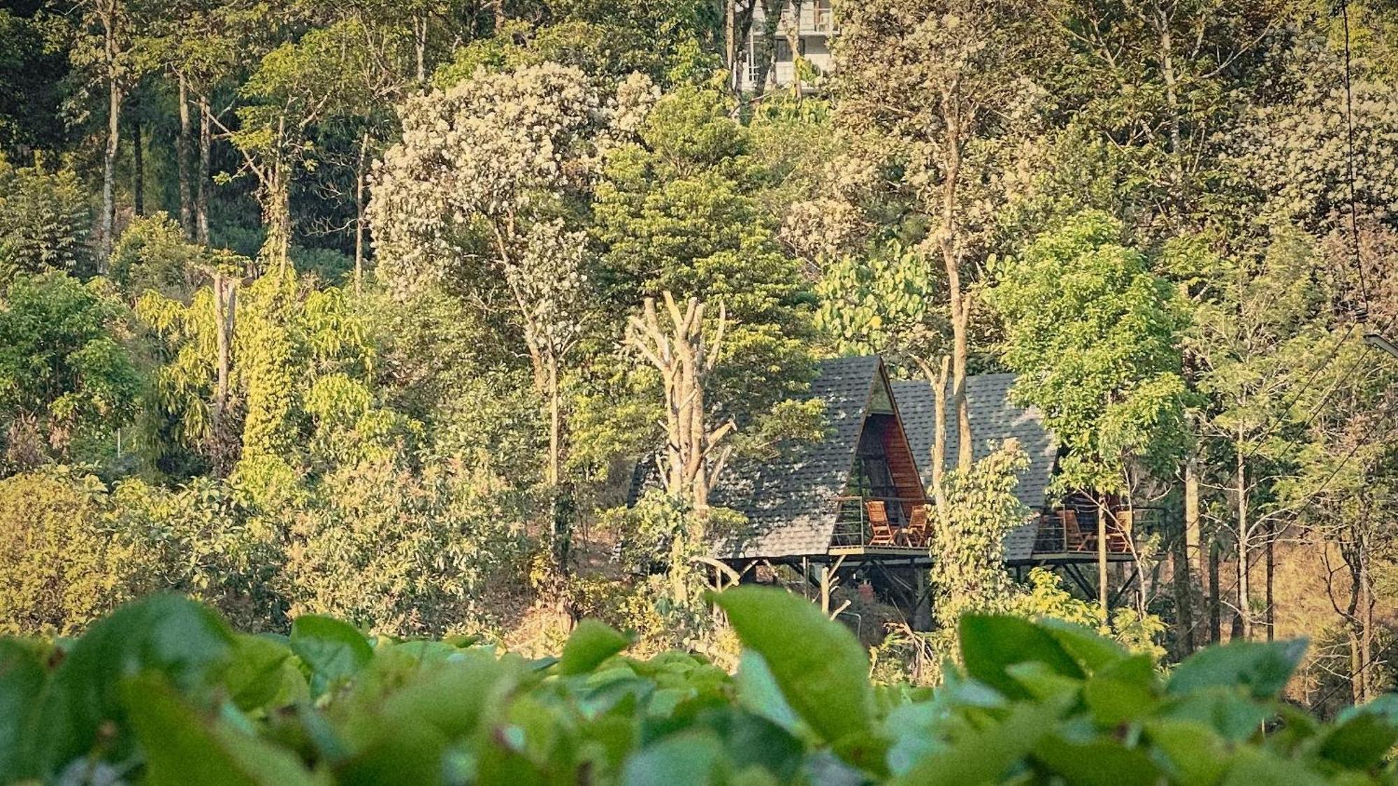 Forestscape Resort Munnar Exterior foto